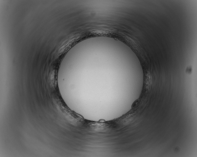 X0000115620428200911241628