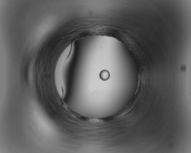 X0000115620429200911241628