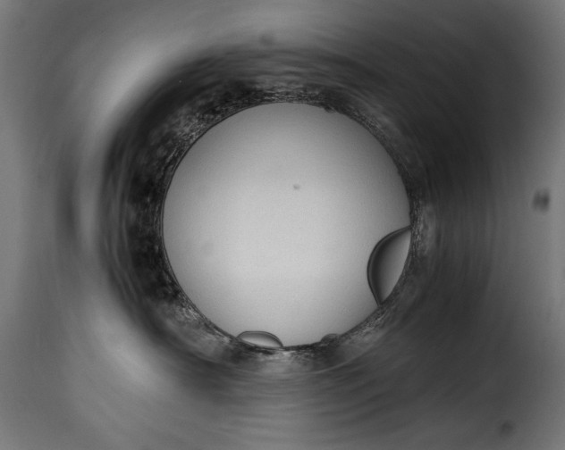 X0000115620430200911241628