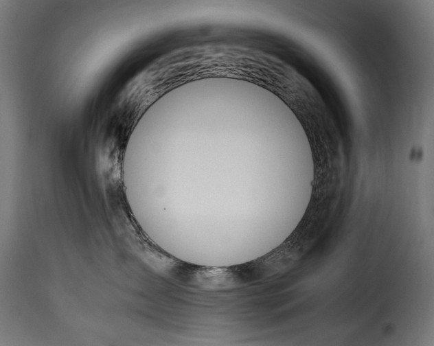 X0000115620431200911241628