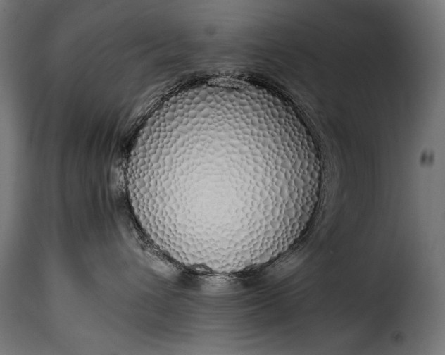 X0000115620432200911241628