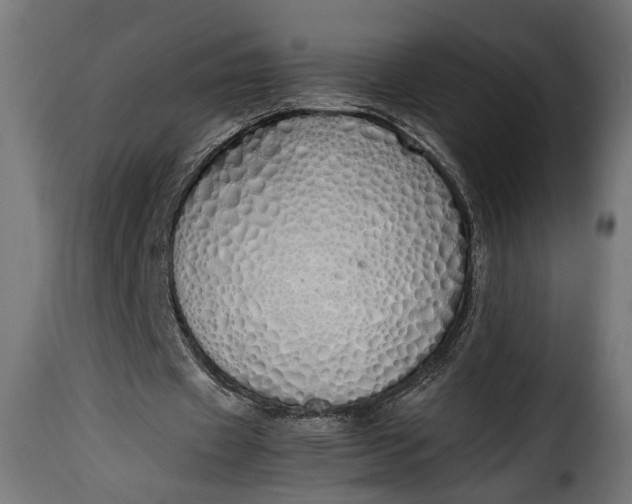 X0000115620433200911241627