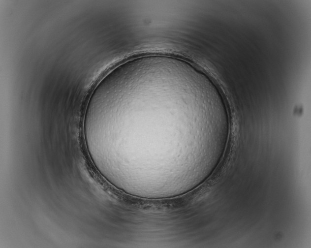 X0000115620434200911241627