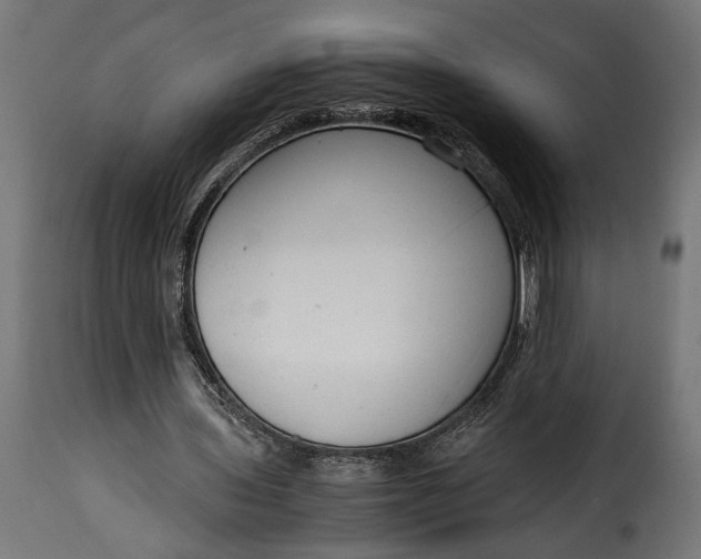 X0000115620435200911241627