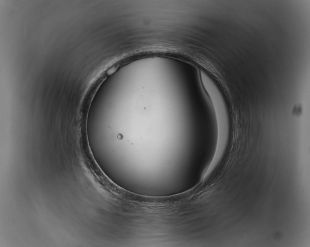 X0000115620436200911241627