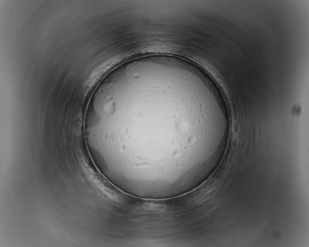 X0000115620437200911241627