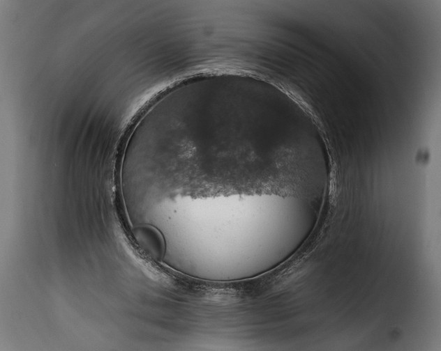 X0000115620438200911241627