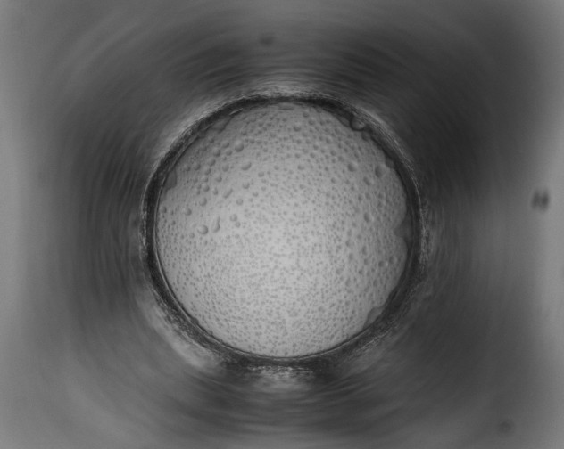 X0000115620439200911241627