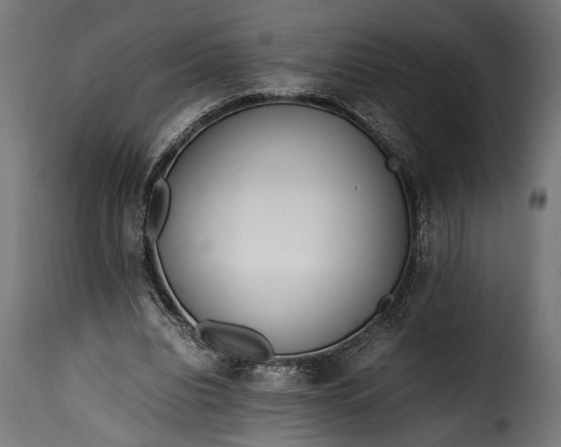 X0000115620440200911241627