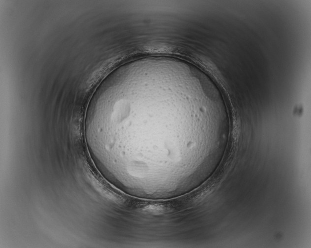 X0000115620441200911241627