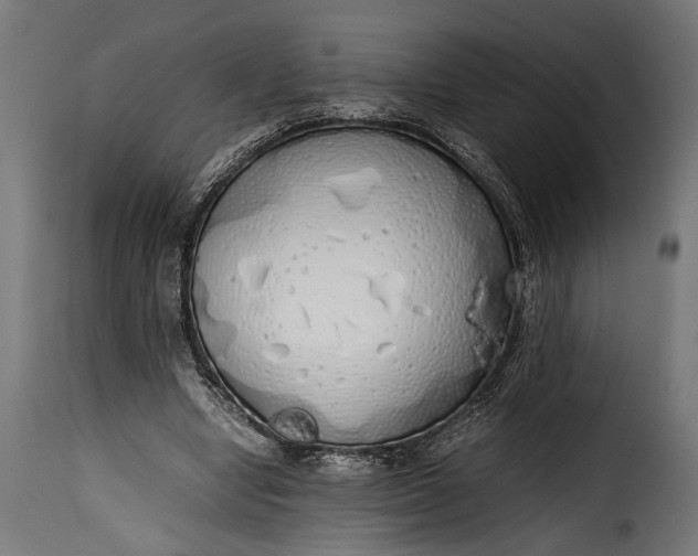 X0000115620442200911241627