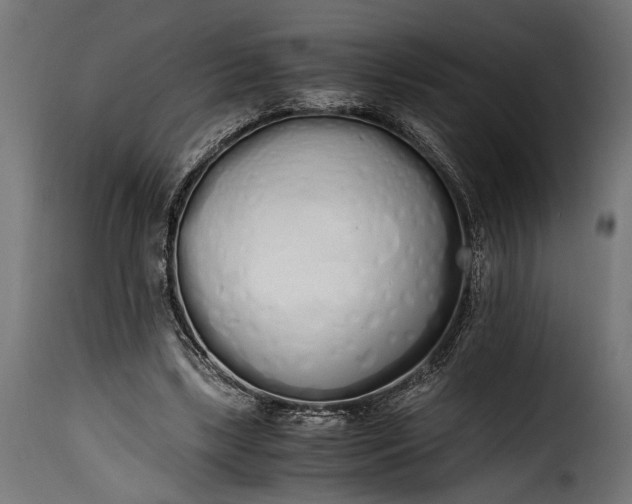 X0000115620443200911241627