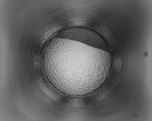 X0000115620444200911241627