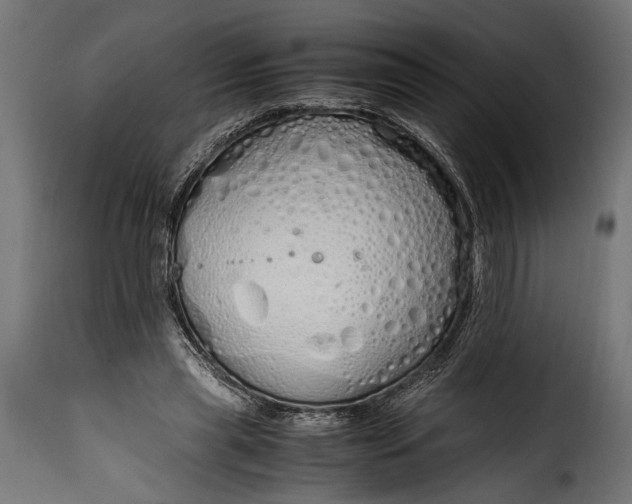 X0000115620445200911241627