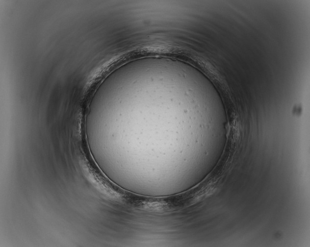 X0000115620446200911241627