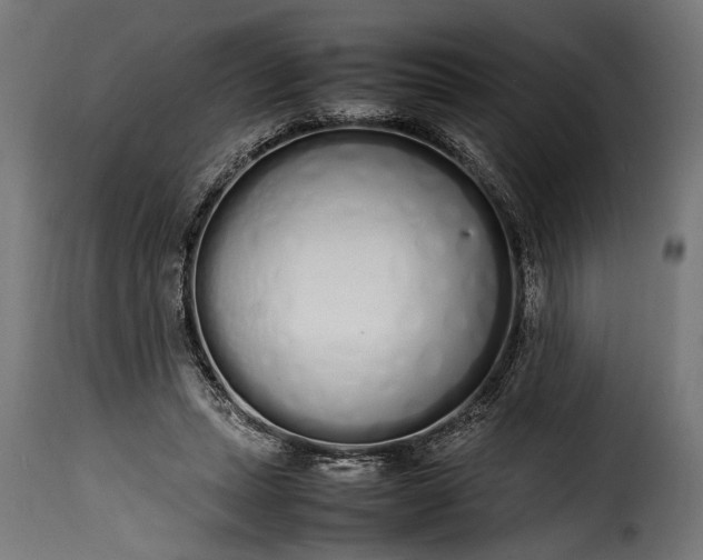 X0000115620447200911241627