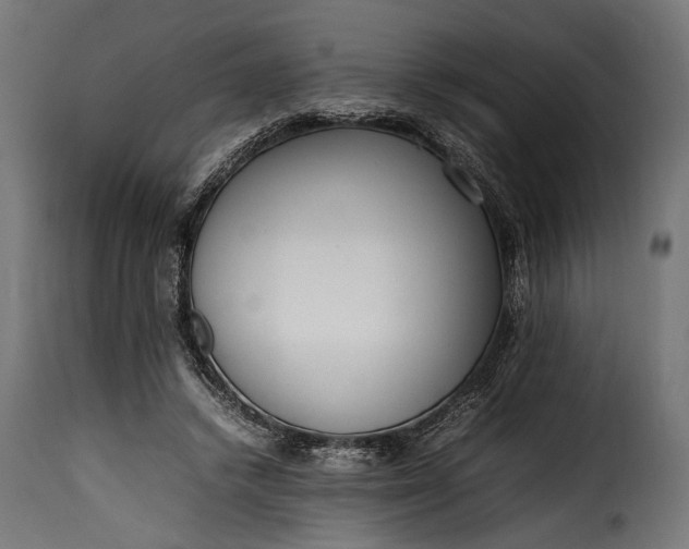 X0000115620448200911241627