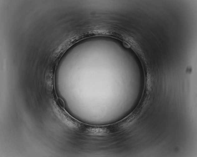 X0000115620449200911241627