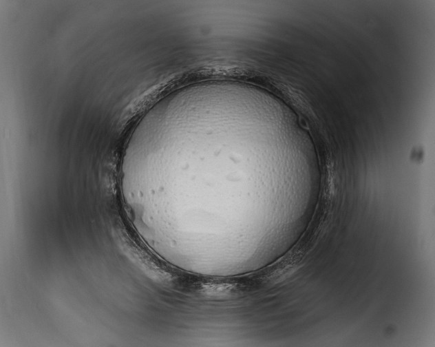 X0000115620450200911241627