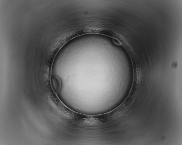 X0000115620451200911241627