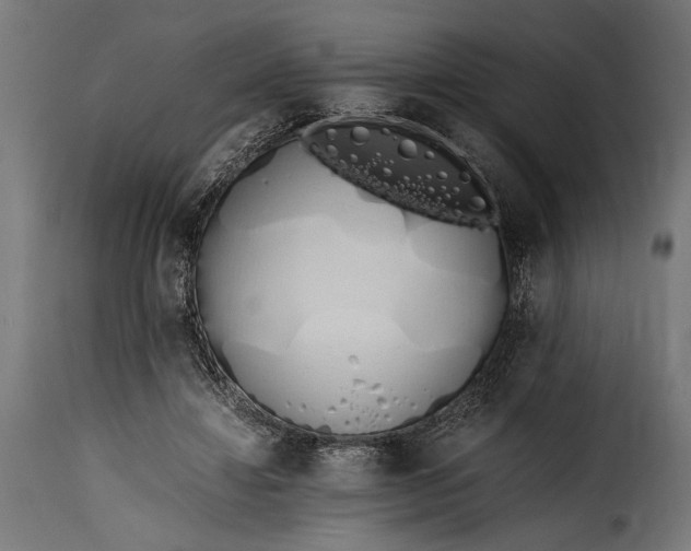 X0000115620452200911241627