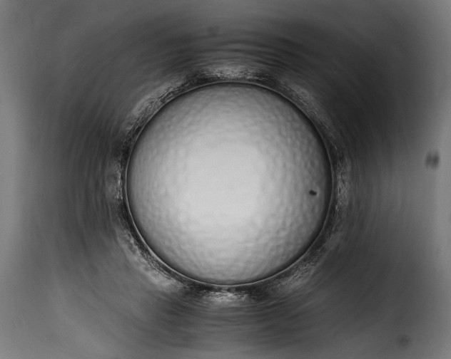 X0000115620453200911241627