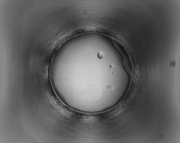 X0000115620454200911241627