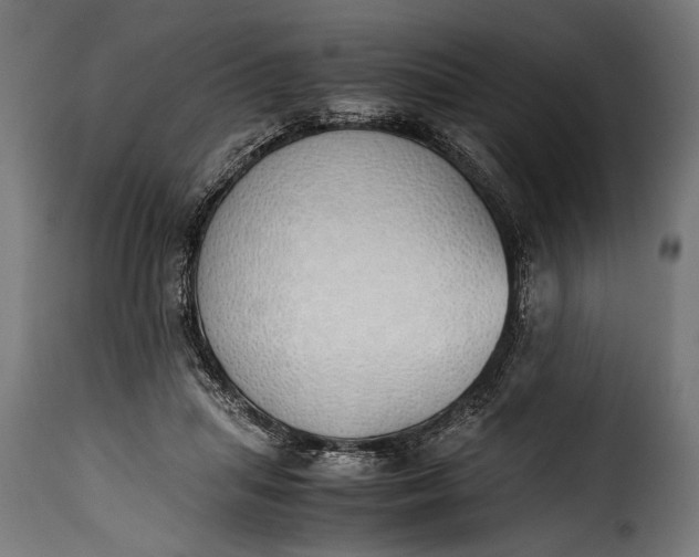 X0000115620455200911241627