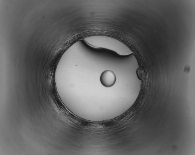 X0000115620456200911241628