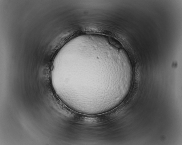 X0000115620457200911241628