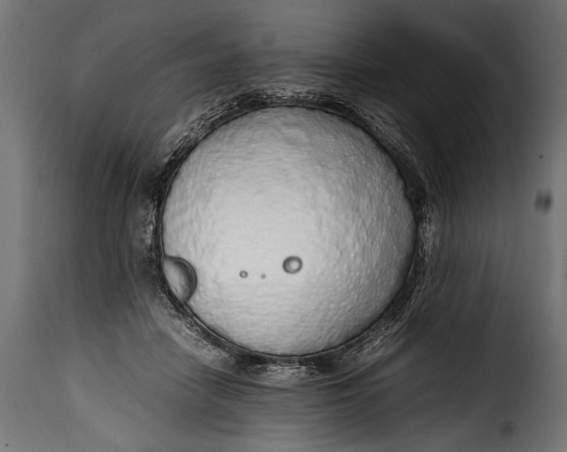 X0000115620458200911241628