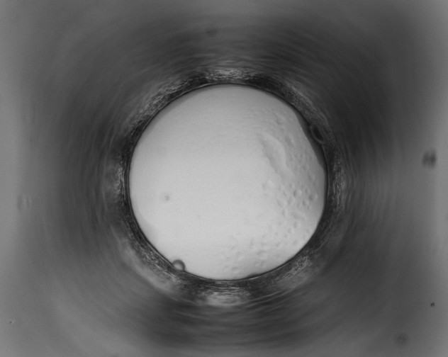 X0000115620459200911241628