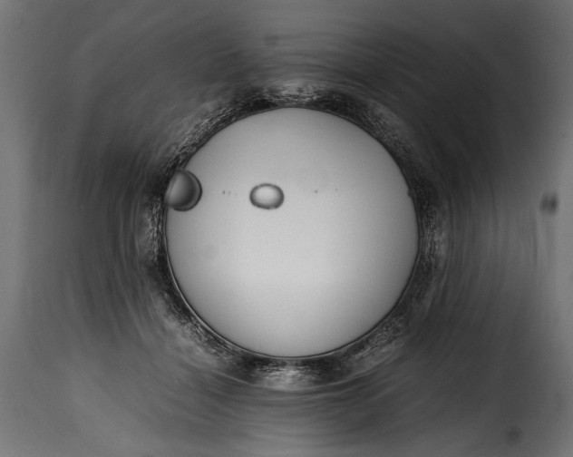 X0000115620460200911241628