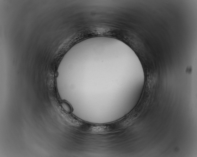 X0000115620461200911241628