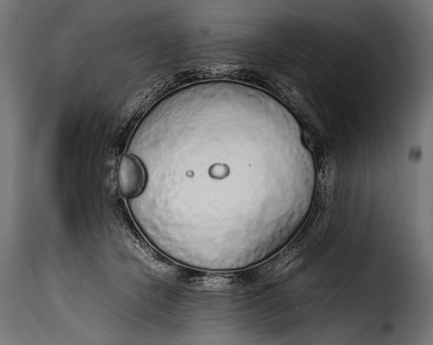 X0000115620462200911241628