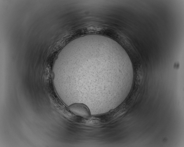 X0000115620463200911241628