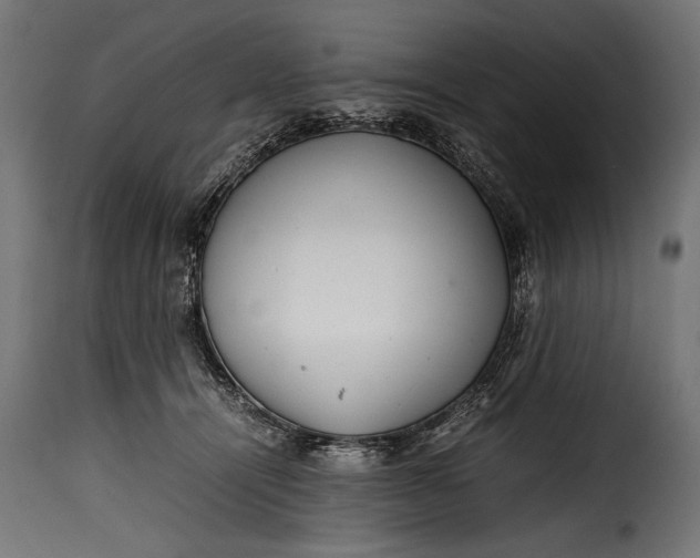 X0000115620464200911241628