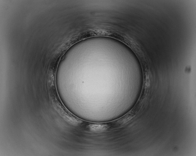 X0000115620465200911241628