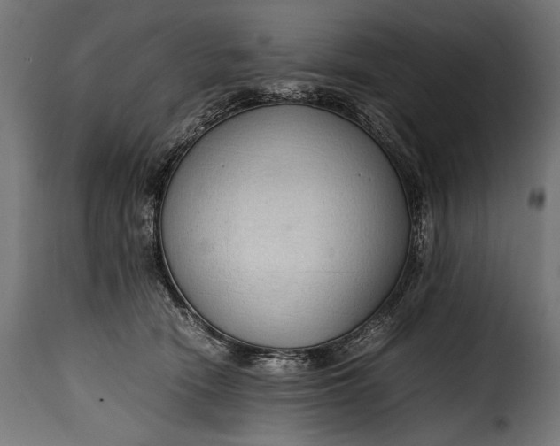 X0000115620466200911241628