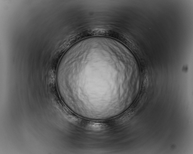 X0000115620467200911241628