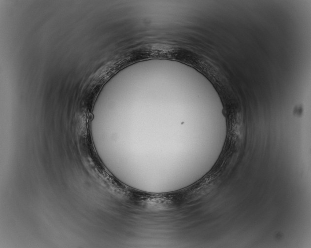 X0000115620468200911241628