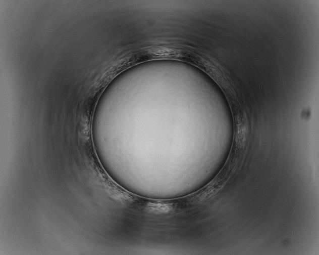 X0000115620469200911241628