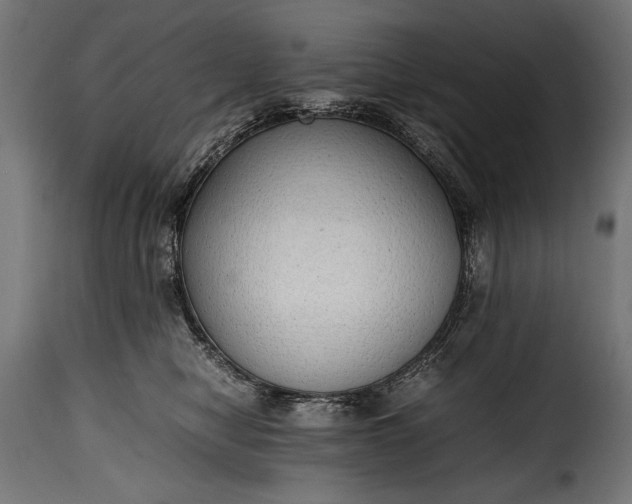 X0000115620470200911241628