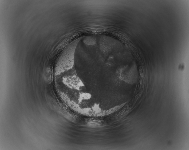 X0000115620471200911241628