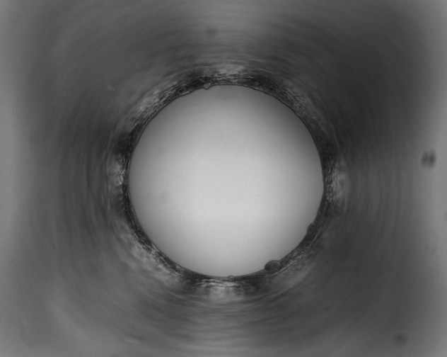 X0000115620472200911241628