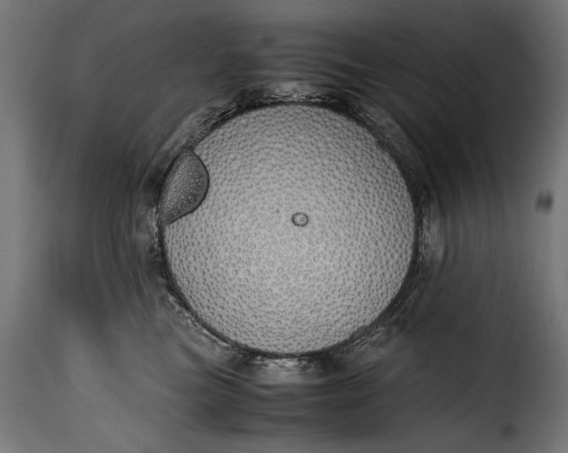 X0000115620473200911241628