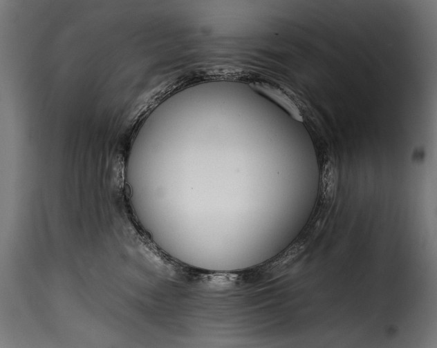 X0000115620474200911241628