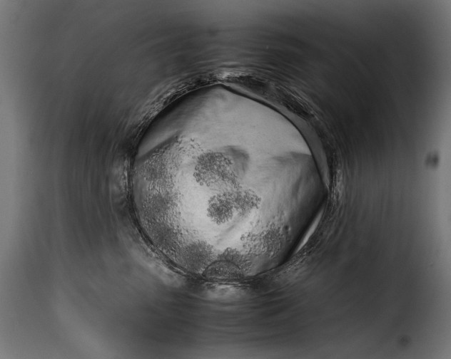 X0000115620475200911241628