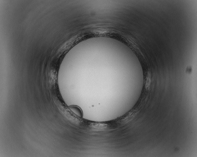 X0000115620476200911241628