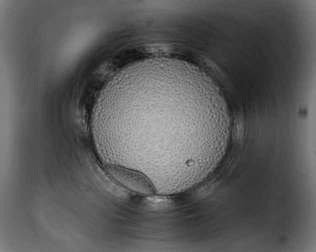 X0000115620477200911241628